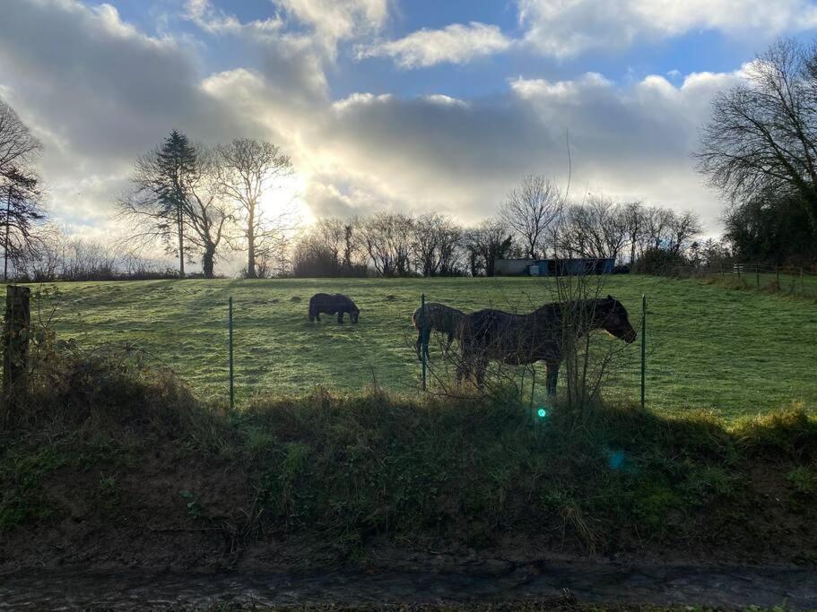 Gite " La Petite Maison" Livry  Exteriör bild